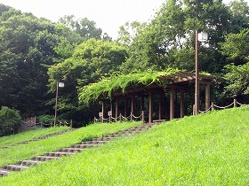 公園3.jpg
