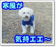 20160112130017.jpg