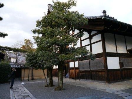 P1060173（大徳寺）.jpg