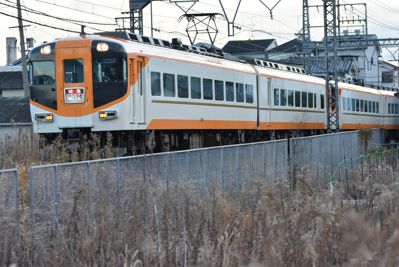 DSC_5183.JPG