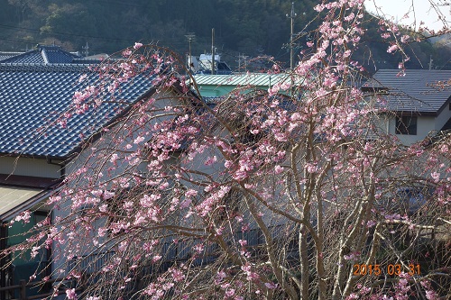 DSC02090.JPG
