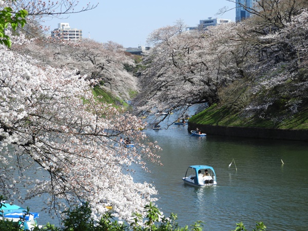 千鳥ヶ淵緑道