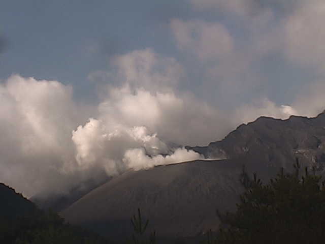 GetLiveImage  １２月１４日.jpg