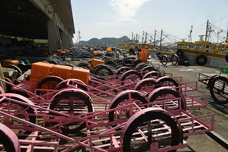 DSC_0361.jpg