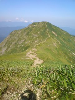 img0e549fd9zik9zj[1].jpg