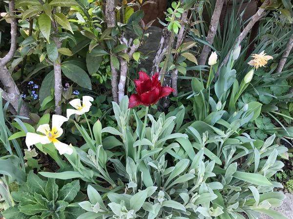 rblog-20180408181337-06.jpg