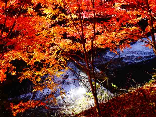 DSC08501_R.JPG