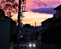5DA_6614-13-1.jpg