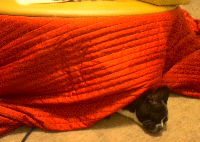 rblog-20131228010544-01.png