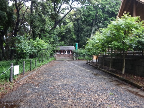 DSC09097.JPG