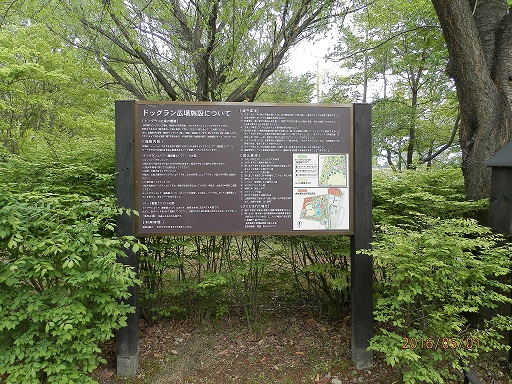 P5010088.jpg