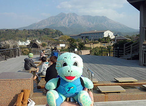 IMG_20140102_145900.jpg