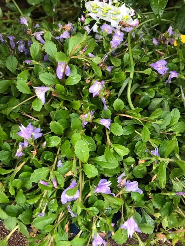 rblog-20190423182804-06.jpg