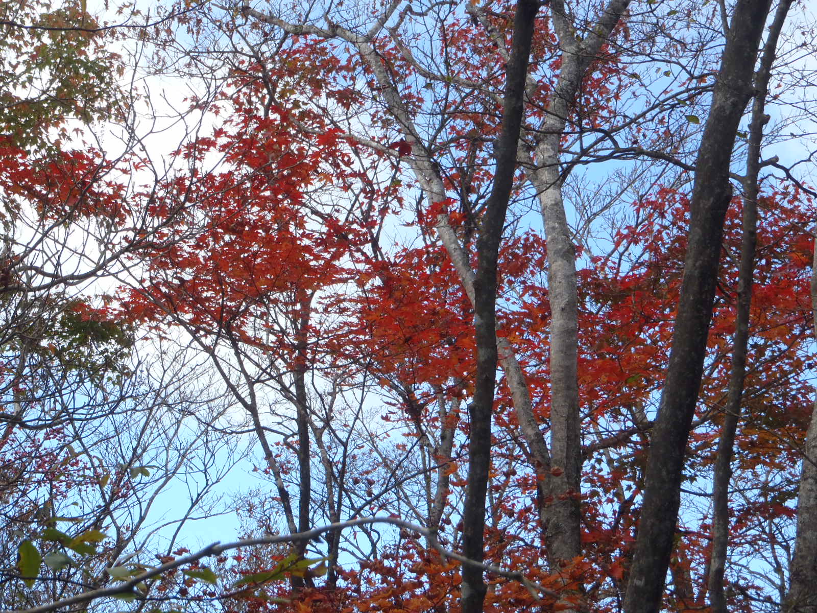 PA280014.JPG