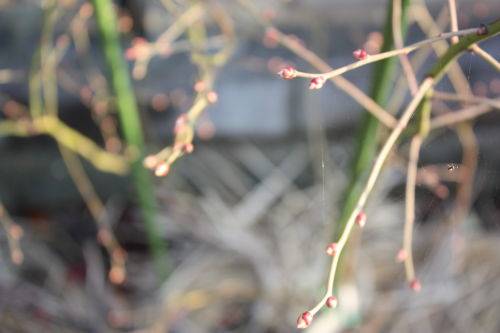 2015022503.jpg
