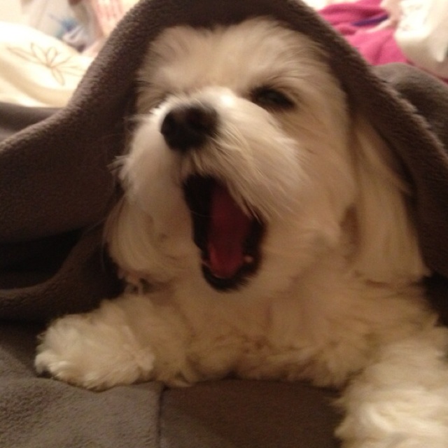 rblog-20130426175654-01.jpg