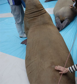 九州721.jpg