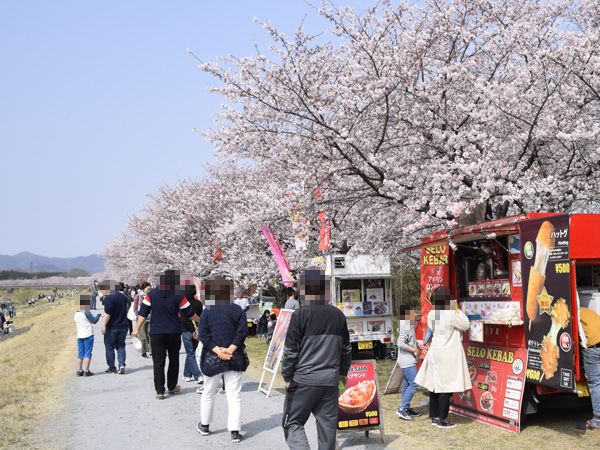 こだま千本桜まつり19 見栄子の熊谷らいふ 楽天ブログ