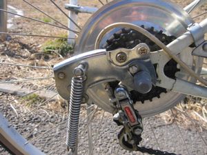 IMG_8879.jpg