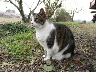 IMG_4543ss.jpg