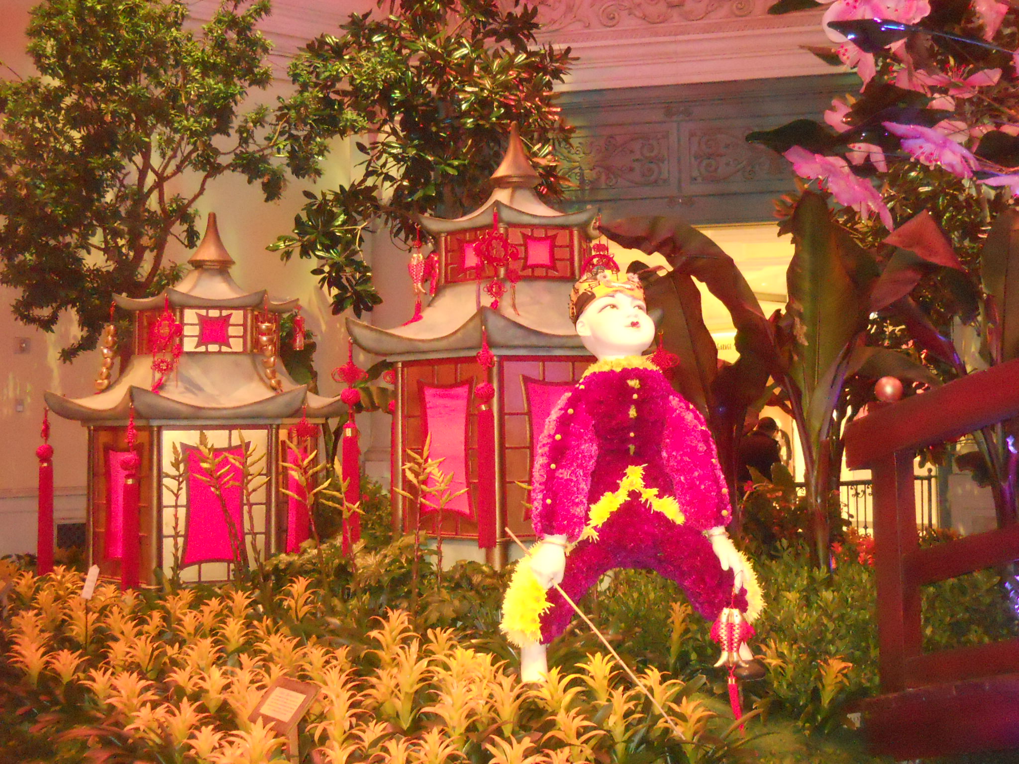 DSCN3069.JPG