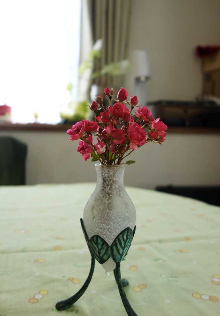 ミニバラ冬剪定とリュウキンカ Papuchi Home 楽天ブログ