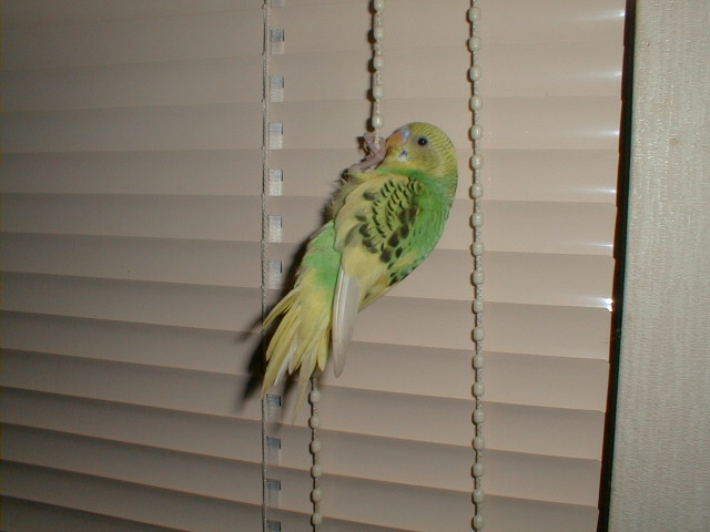 PIC00009.JPG