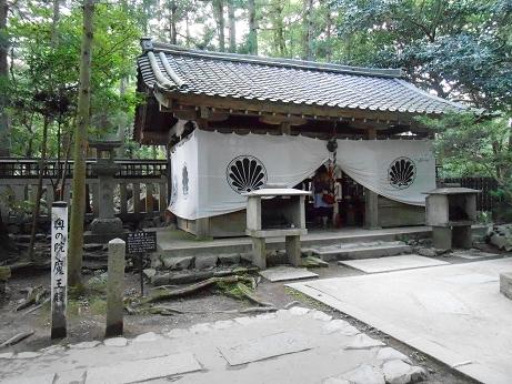 DSCN4620.jpg