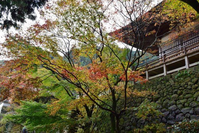 両子寺