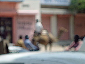 インド815.jpg