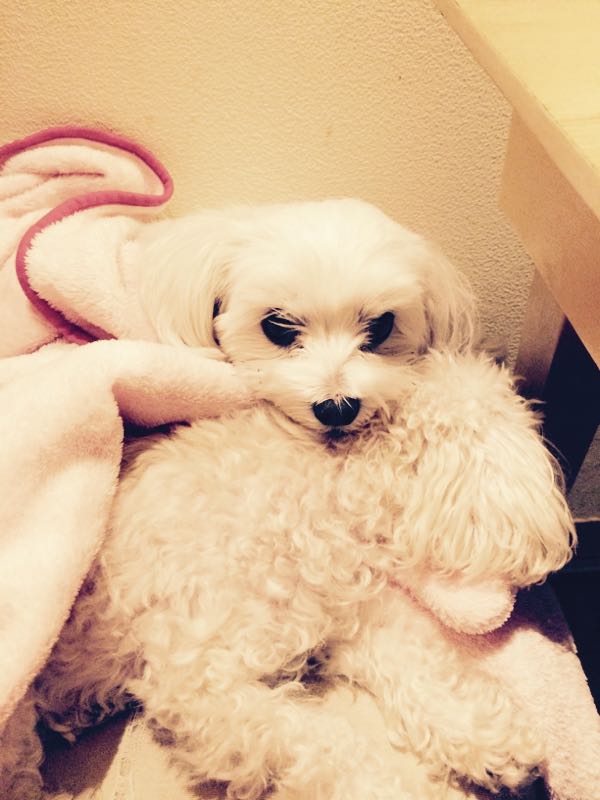 rblog-20151215142957-01.jpg