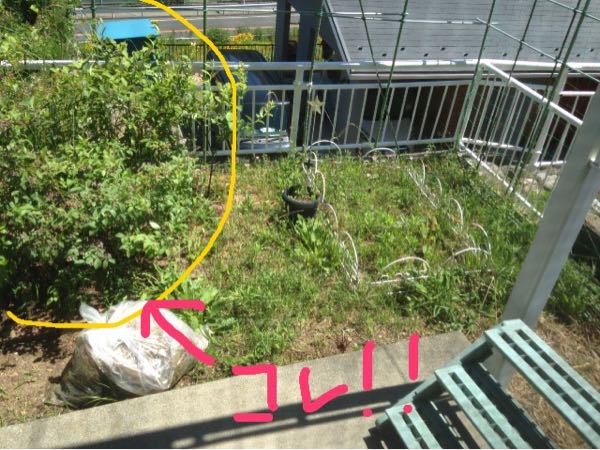 rblog-20170618175348-07.jpg