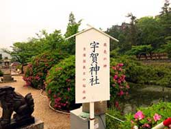 IMG_2414.jpg
