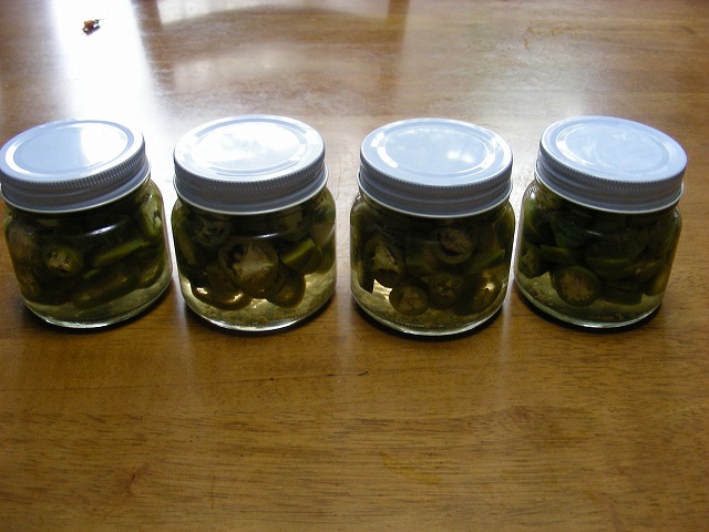 DSCN3646.jpg