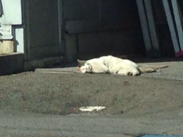 rblog-20140529140004-01.jpg