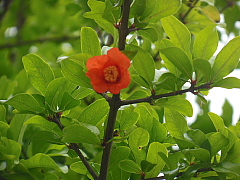 conv0109.JPG