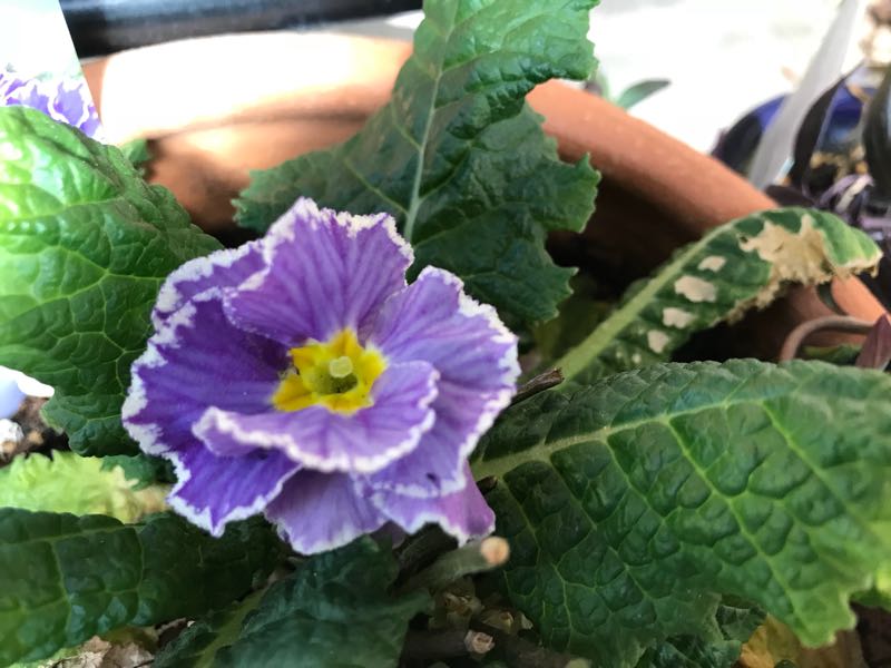 rblog-20180408162109-02.jpg