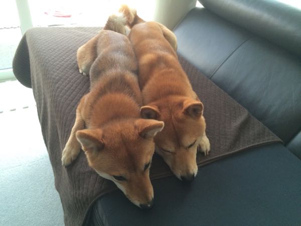 rblog-20160424215447-06.jpg