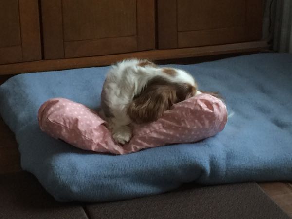 rblog-20160118162324-01.jpg
