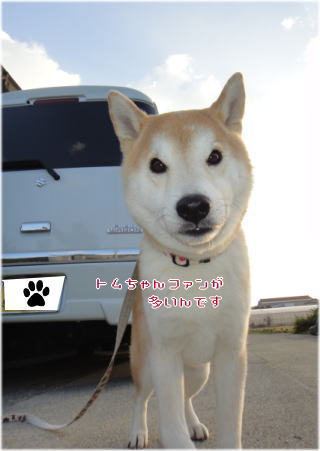 0101トム6.jpg