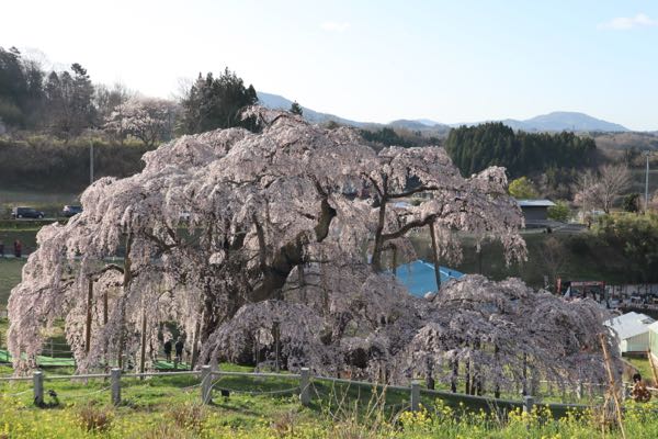 rblog-20180425011639-03.jpg