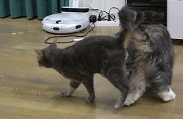 5DA_6688-15.jpg