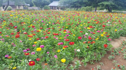 rblog-20160814225810-09.jpg