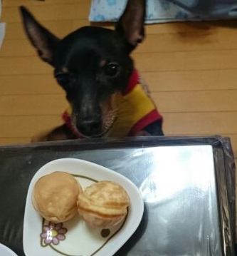 1449753222264.jpg