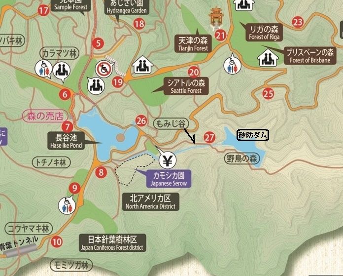 マップ
