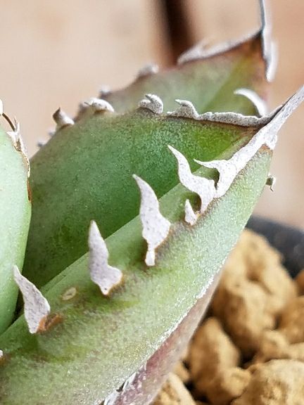 rblog-20180720113956-04.jpg