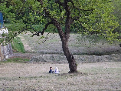 DSCF3529.jpg