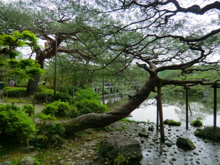 京都　平安神宮12
