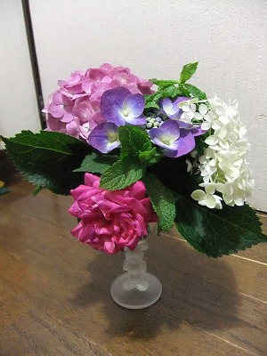 DSCF2314.jpg