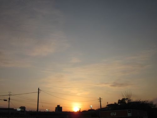 IMG_8706.JPG